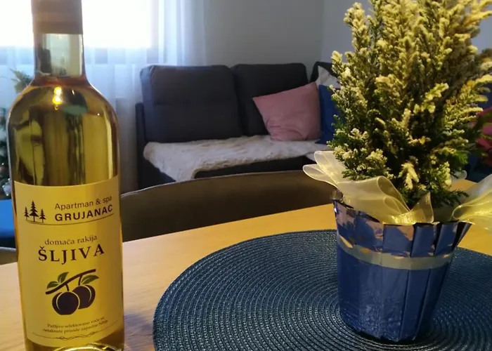 アパート Grujanac ズラティボール